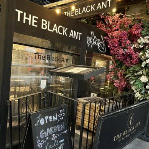 The Black Ant – CLOSED